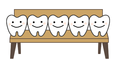 標準の歯の並び